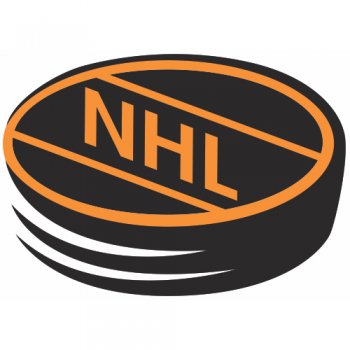 NHL Alternate Logo  Light Iron-on Stickers (Heat Transfers)