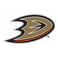 Anaheim Ducks 2013 14-Pres Primary Logo Light Iron-on Stickers (Heat Transfers)