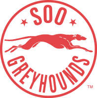 1985 86-1994 95 Sault Ste. Marie Greyhounds Alternate Logo Light Iron-on Stickers (Heat Transfers)