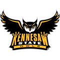 Kennesaw State Owls 2012-Pres Primary Logo Light Iron-on Stickers (Heat Transfers)