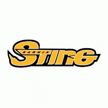 1999 00-Pres Sarnia Sting Wordmark Logo Light Iron-on Stickers (Heat Transfers)