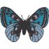 Butterfly Light Iron On Stickers (Heat Transfers) version 15