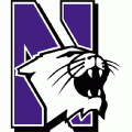 1981-Pres Northwestern Wildcats Primary Logo Light Iron-on Stickers (Heat Transfers)