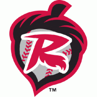 Richmond Flying Squirrels alternate logo(2010-pres)Light Iron-on Stickers (Heat Transfers) 01