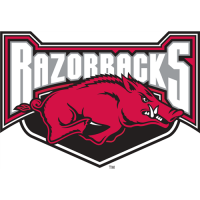 Arkansas Razorbacks 2001-2008 Alternate Logo3 Light Iron-on Stickers (Heat Transfers)