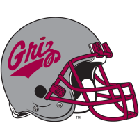 1996-Pres Montana Grizzlies Helmet Logo Light Iron-on Stickers (Heat Transfers)