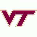 1983-Pres Virginia Tech Hokies Primary Logo Light Iron-on Stickers (Heat Transfers)