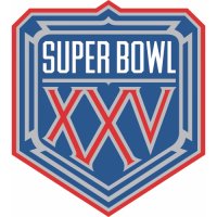 NFL Super Bowl Primary Logo  Light Iron-on Stickers (Heat Transfers)