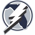 Tampa Bay Lightning Alternate Logo  Light Iron-on Stickers (Heat Transfers)