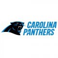 2012 Carolina Panthers Script Logo  Light Iron-on Stickers (Heat Transfers)