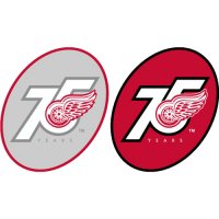 Detroit Red Wings Anniversary Logo  Light Iron-on Stickers (Heat Transfers)