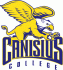 Canisius Golden Griffin 2000-Pres Primary Logo Light Iron-on Stickers (Heat Transfers)