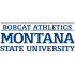 1997-Pres Montana State Bobcats Wordmark Logo Light Iron-on Stickers (Heat Transfers)