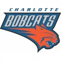 Charlotte Bobcats Primary Logo  Light Iron-on Stickers (Heat Transfers)