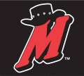 High Desert Mavericks cap logo (1991-pres)Light Iron-on Stickers (Heat Transfers) 02