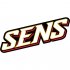 Ottawa Senators Script Logo  Light Iron-on Stickers (Heat Transfers)