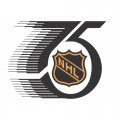 National Hockey League Anniversary Logo  Light Iron-on Stickers (Heat Transfers)