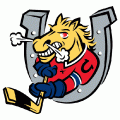 1995 96-Pres Barrie Colts Primary Logo Light Iron-on Stickers (Heat Transfers)