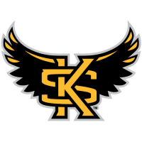 Kennesaw State Owls 2012-Pres Alternate Logo Light Iron-on Stickers (Heat Transfers)