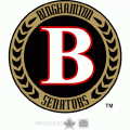 2009 10-Pres Binghamton Senators Alternate Logo Light Iron-on Stickers (Heat Transfers)