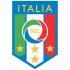 Italy Football Confederation Light Iron-on Stickers (Heat Transfers)