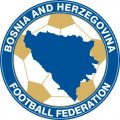 Bosnia-Herzegovina Football Confederation Light Iron-on Stickers (Heat Transfers)