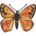 Butterfly Light Iron On Stickers (Heat Transfers) version 16