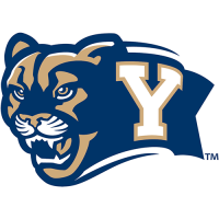 Brigham Young Cougars 2005-Pres Secondary Logo Light Iron-on Stickers (Heat Transfers)