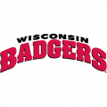 2002-Pres Wisconsin Badgers Wordmark Logo Light Iron-on Stickers (Heat Transfers)