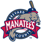 Brevard County Manatees Iron Ons