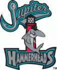 Jupiter Hammerheads Iron Ons