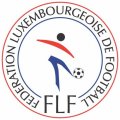 Luxembourg Football Confederation Light Iron-on Stickers (Heat Transfers)