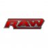 WWE Logo Light Iron-on Stickers (Heat Transfers) N3079