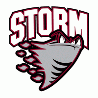 1995 -Pres Guelph Storm Primary Logo Light Iron-on Stickers (Heat Transfers)