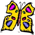 Butterfly Light Iron On Stickers (Heat Transfers) version 26