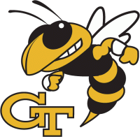 Georgia Tech Yellow Jackets 1991-Pres Primary Logo T shirt transfer