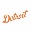 Detroit Tigers Script Logo  Light Iron-on Stickers (Heat Transfers)