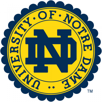 0-Pres Notre Dame Fighting Irish Alternate Logo Light Iron-on Stickers (Heat Transfers)