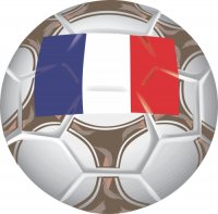 France Soccer Light Iron-on Stickers (Heat Transfers)