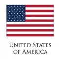 UNITED STATES OF AMERICA Flags light iron ons