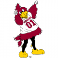 2002-Pres South Carolina Gamecocks Mascot Logo Light Iron-on Stickers (Heat Transfers)