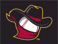 Quad Cities River Bandits cap logo (2008-pres)Light Iron-on Stickers (Heat Transfers) 03