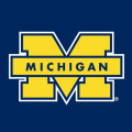 1996-Pres Michigan Wolverines Secondary Logo Light Iron-on Stickers (Heat Transfers)