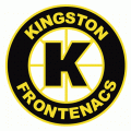 1998 99-2000 01 Kingston Frontenacs Primary Logo Light Iron-on Stickers (Heat Transfers)