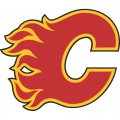 Calgary Flames Primary Logo  Light Iron-on Stickers (Heat Transfers)