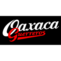 Oaxaca Guerreros wordmark-(0-press)Light Iron-on Stickers (Heat Transfers) 02