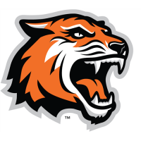 RIT Tigers 2004-Pres Alternate Logo1 Light Iron-on Stickers (Heat Transfers)