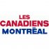 Montreal Canadiens Script Logo  Light Iron-on Stickers (Heat Transfers)