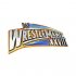 WWE Logo Light Iron-on Stickers (Heat Transfers) N3083