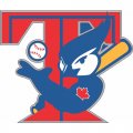 Toronto Blue Jays Cap Logo  Light Iron-on Stickers (Heat Transfers)